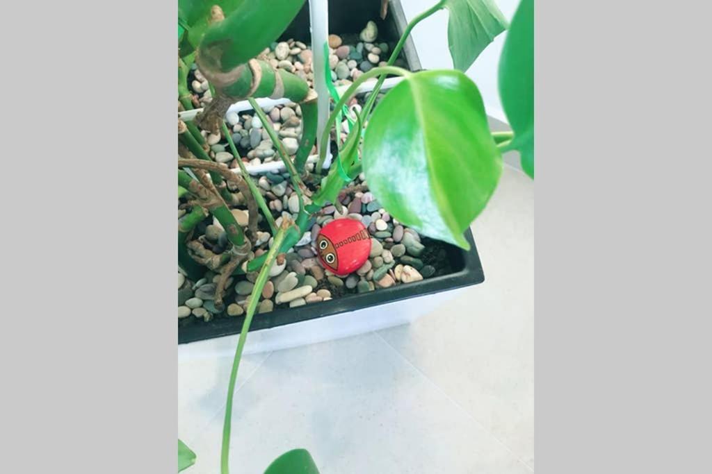 Apartman Santorini 诺威萨 外观 照片